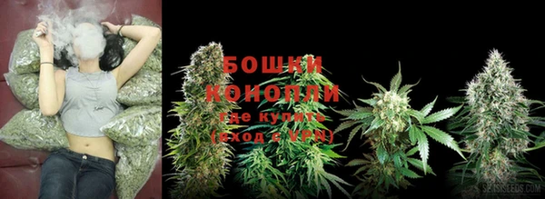шишки Алзамай